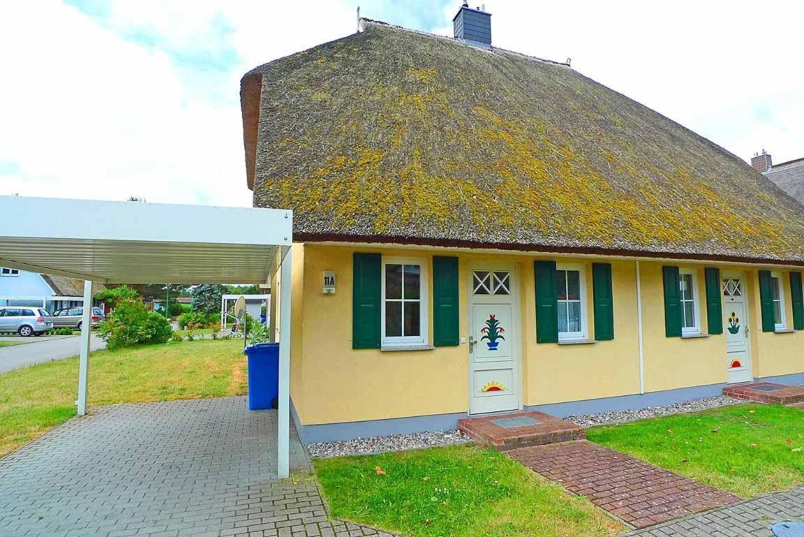 Ferienhaus An Der Alten Waldschaenke Ws-11A Born Exterior foto